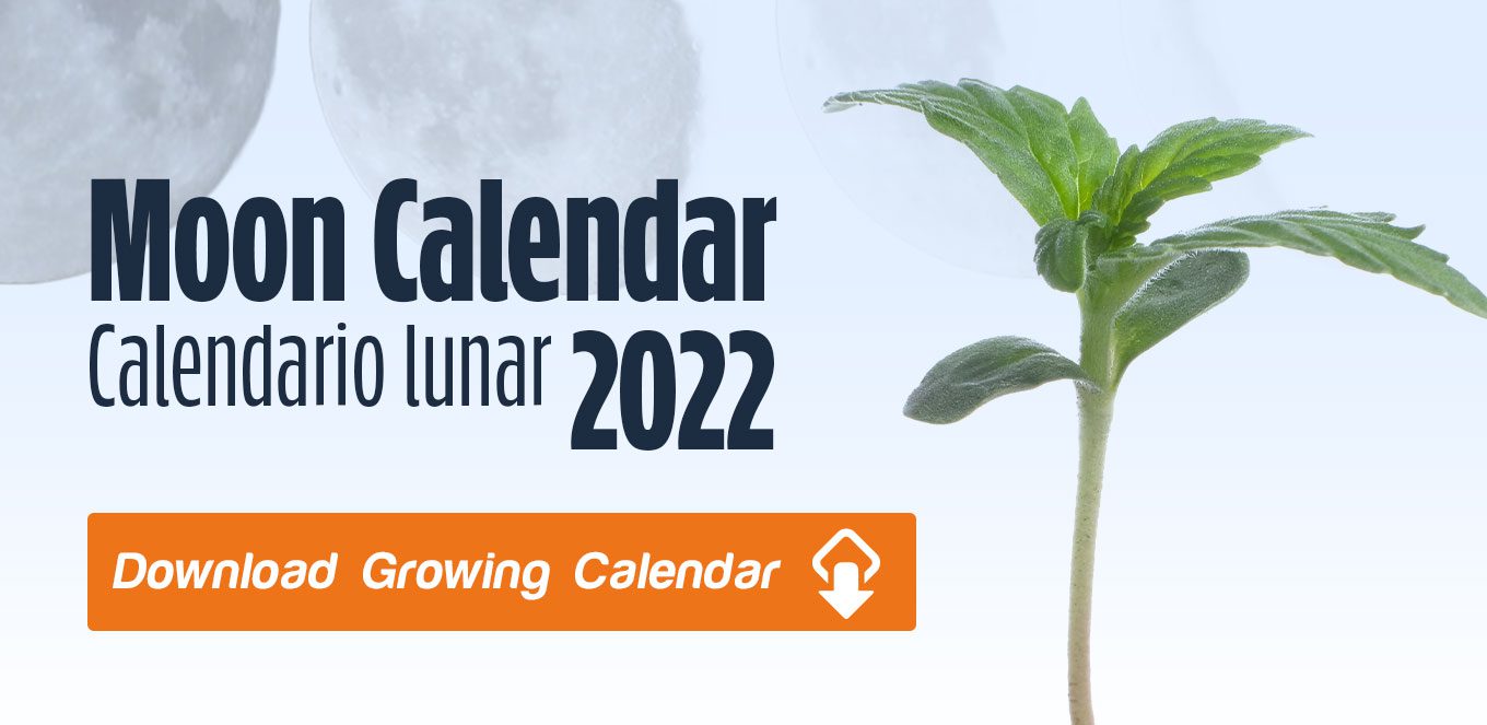 cannabis-growing-calendar