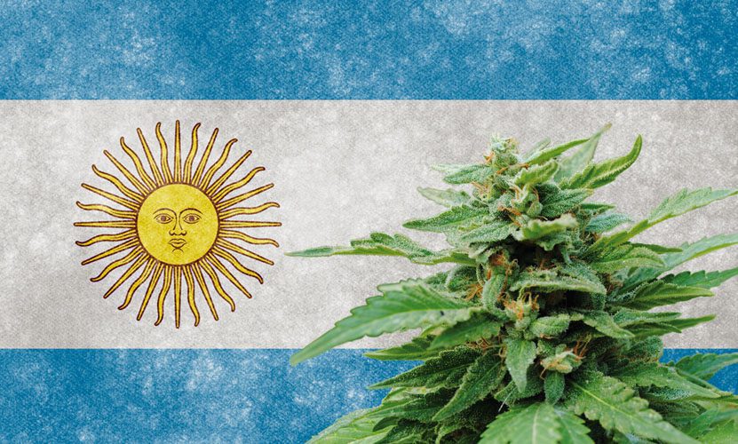 Es legal comprar semillas de cannabis en Argentina?