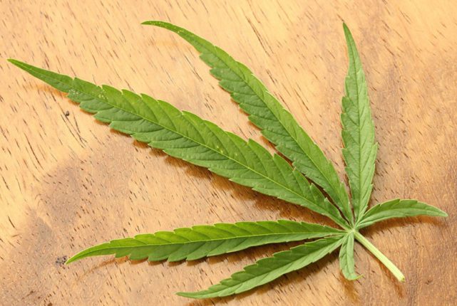 420 (cannabis culture) - Wikipedia