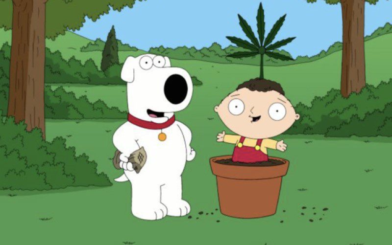 cartoon scooby doo weed