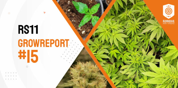 Growreport RS11