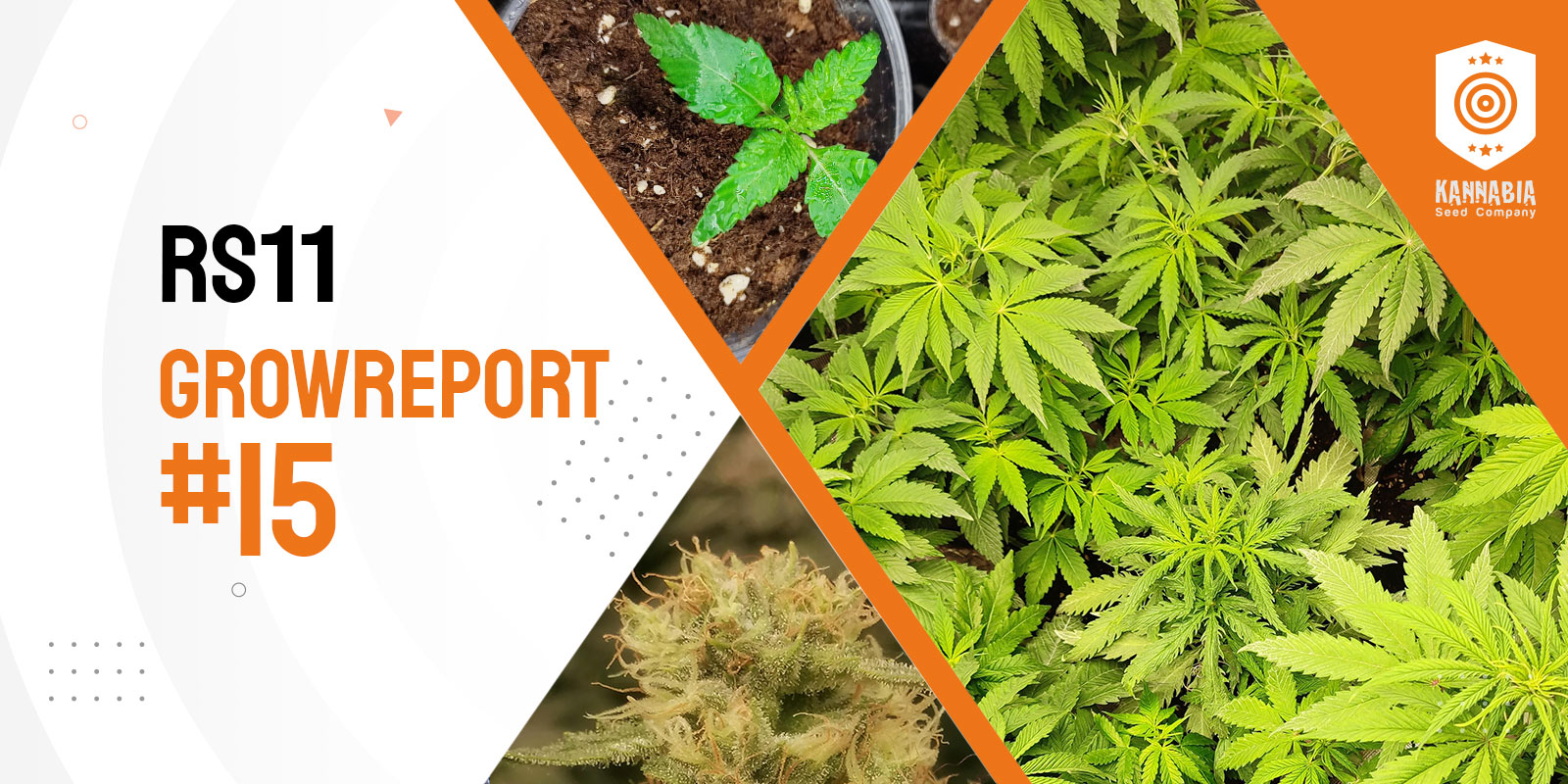 Growreport RS11