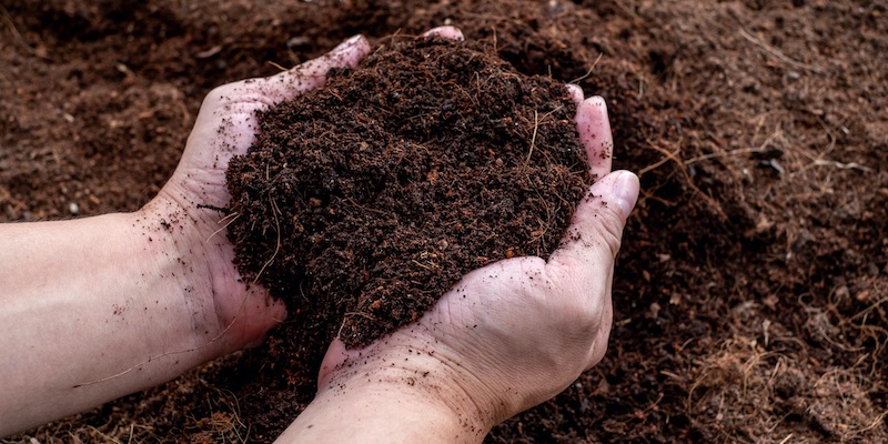 Cómo mezclar y preparar un buen sustrato para tu cultivo de marihuana