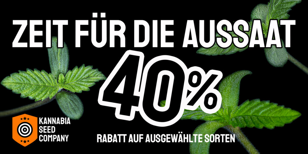 Der beste Augenblick für die Aussaat von Cannabis-Samen für den Anbaustart im Freien