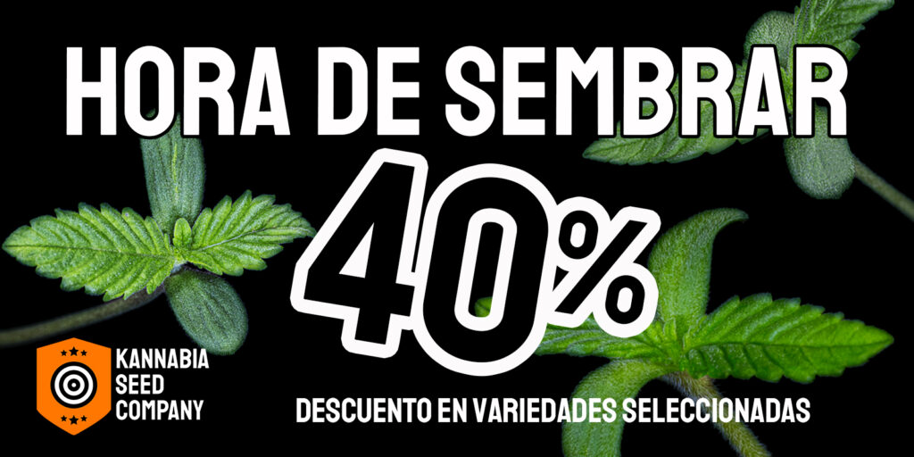 ¿Cuándo es el mejor momento para germinar semillas de cannabis y comenzar un cultivo de exterior?